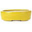 Oval yellow bonsai pot by Seto - 90 x 75 x 30 mm