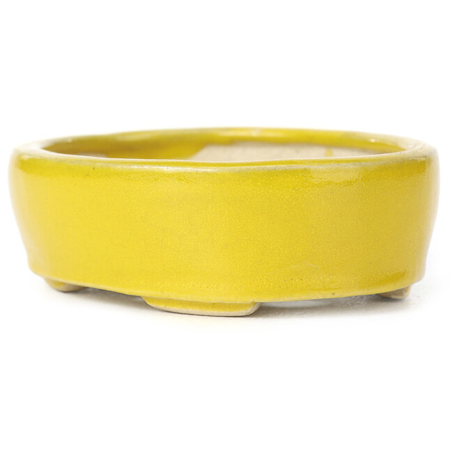 Maceta de bonsái amarilla ovalada de Seto - 90 x 75 x 30 mm