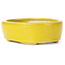 Pot à bonsaï ovale jaune par Seto - 90 x 75 x 30 mm