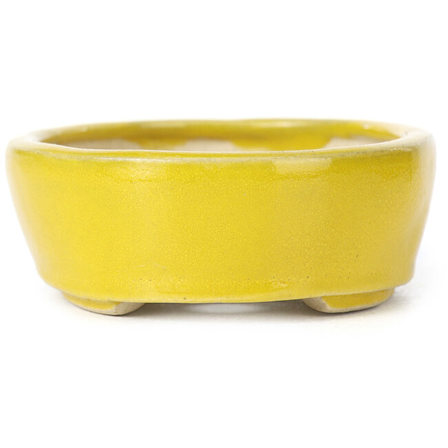 Ovale gele bonsaipot van Seto - 90 x 75 x 30 mm