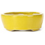 Oval yellow bonsai pot by Seto - 90 x 75 x 30 mm