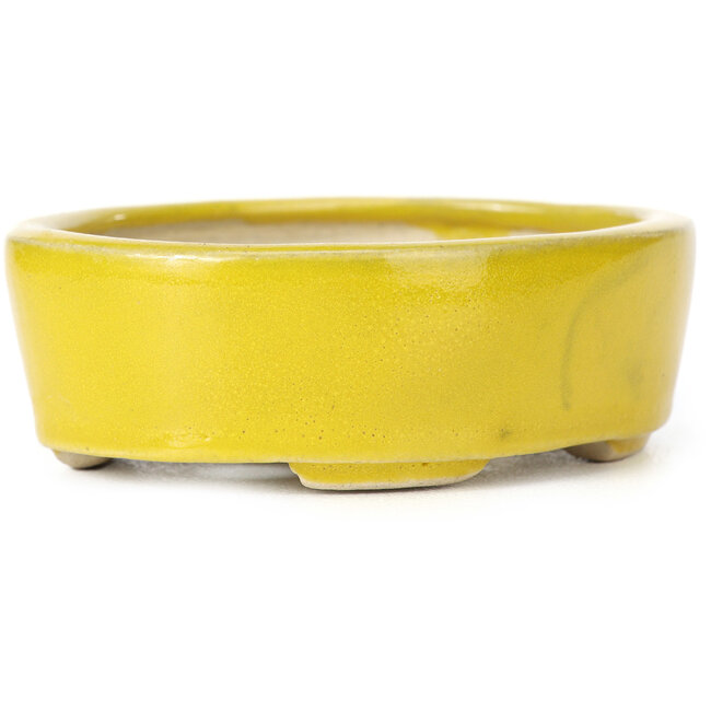 Maceta de bonsái amarilla ovalada de Seto - 90 x 75 x 30 mm