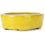 Oval yellow bonsai pot by Seto - 90 x 75 x 30 mm