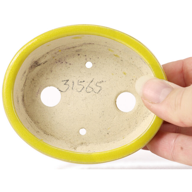 Pot à bonsaï ovale jaune par Seto - 90 x 75 x 30 mm