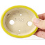 Ovale gele bonsaipot van Seto - 90 x 75 x 30 mm
