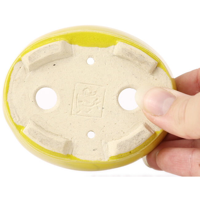 Maceta de bonsái amarilla ovalada de Seto - 90 x 75 x 30 mm