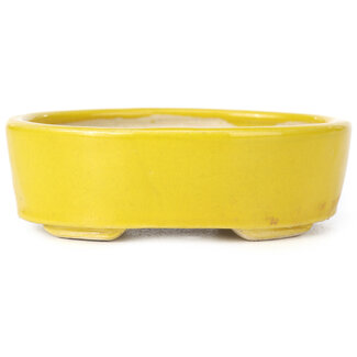 Seto 90 mm oval yellow bonsai pot by Seto, Japan