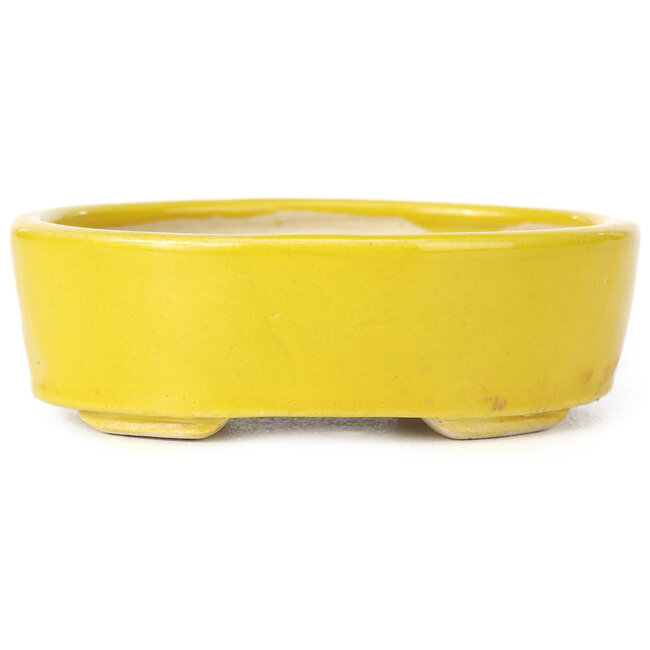 Oval yellow bonsai pot by Seto - 90 x 75 x 30 mm