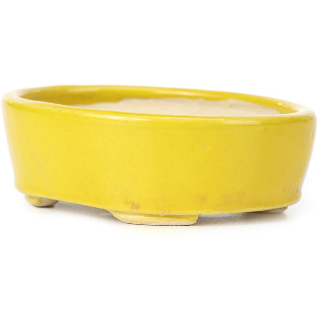Vaso bonsai giallo ovale di Seto - 90 x 75 x 30 mm