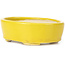 Pot à bonsaï ovale jaune par Seto - 90 x 75 x 30 mm