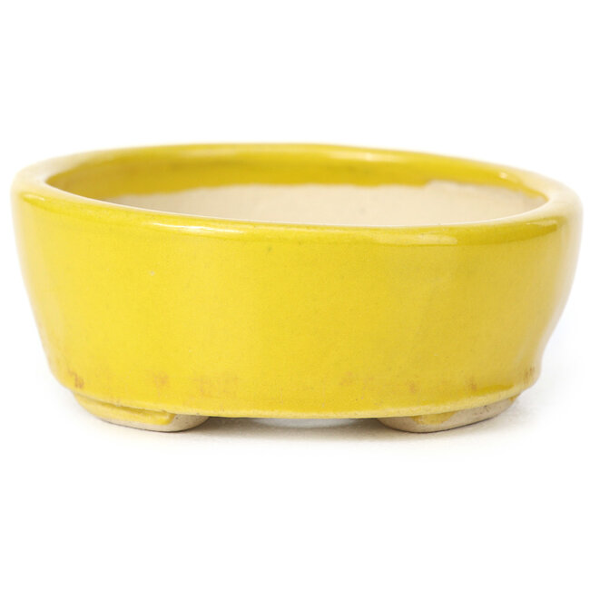 Ovale gelbe Bonsaischale von Seto - 90 x 75 x 30 mm