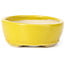 Oval yellow bonsai pot by Seto - 90 x 75 x 30 mm