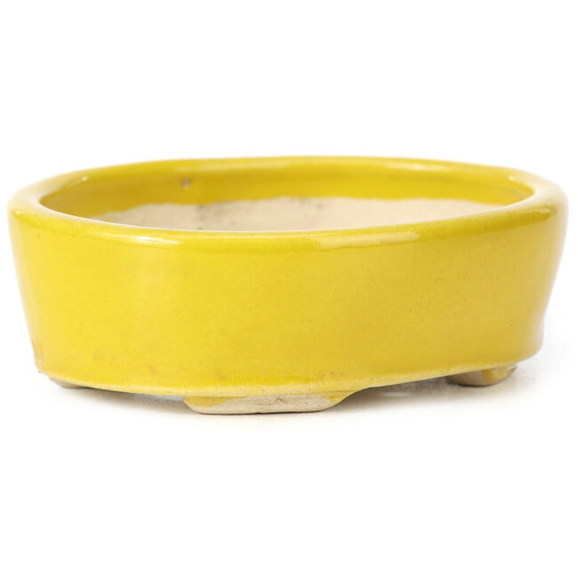 Pot à bonsaï ovale jaune par Seto - 90 x 75 x 30 mm