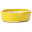 Oval yellow bonsai pot by Seto - 90 x 75 x 30 mm