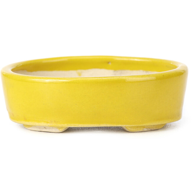Ovale gelbe Bonsaischale von Seto - 90 x 75 x 30 mm