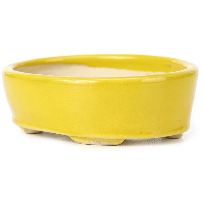 Vaso bonsai giallo ovale di Seto - 90 x 75 x 30 mm