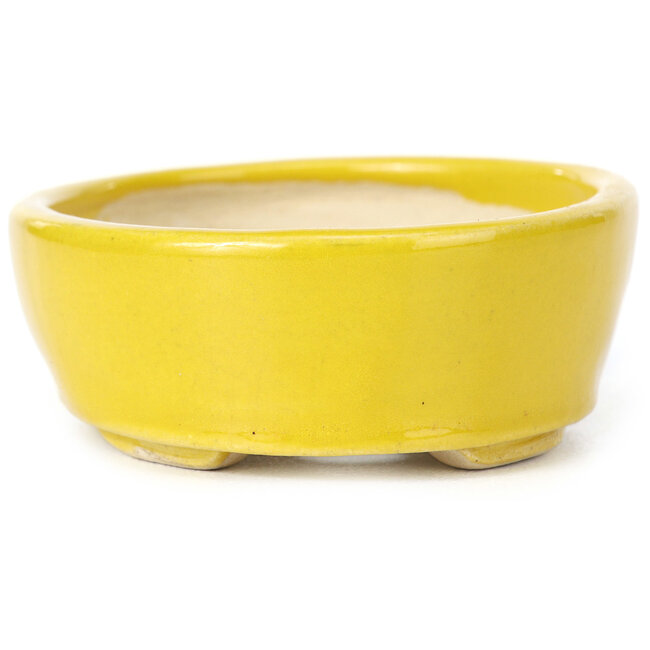 Pot à bonsaï ovale jaune par Seto - 90 x 75 x 30 mm