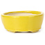 Oval yellow bonsai pot by Seto - 90 x 75 x 30 mm