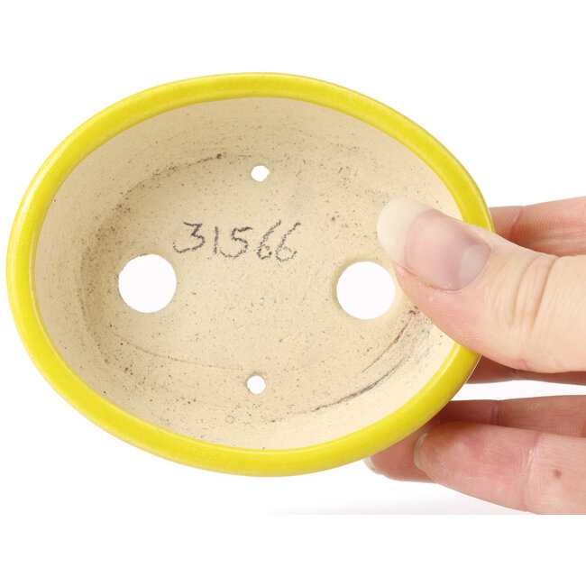 Maceta de bonsái amarilla ovalada de Seto - 90 x 75 x 30 mm
