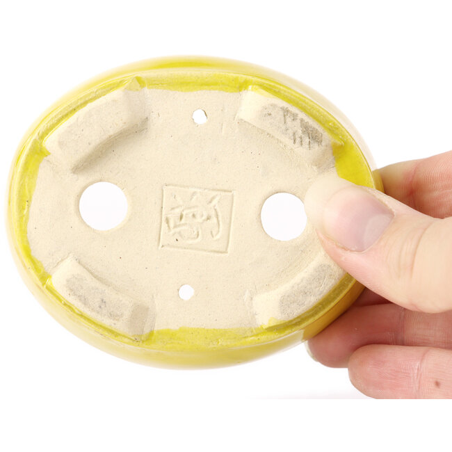 Pot à bonsaï ovale jaune par Seto - 90 x 75 x 30 mm