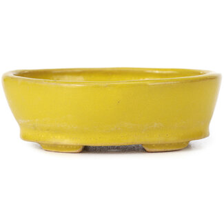 Seto 100 mm oval yellow bonsai pot by Seto, Japan