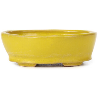 Seto Pot à bonsaï jaune ovale 100 mm par Seto, Japon