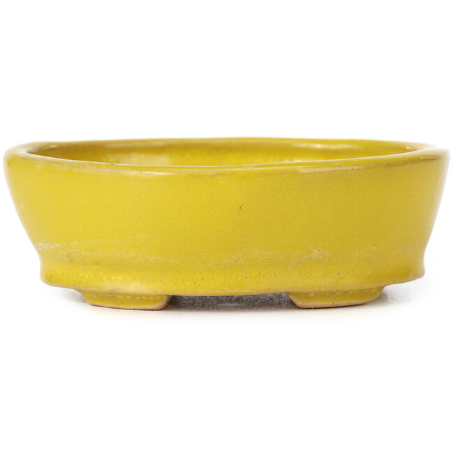 Pot à bonsaï ovale jaune par Seto - 100 x 85 x 35 mm