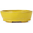 Pot à bonsaï ovale jaune par Seto - 100 x 85 x 35 mm