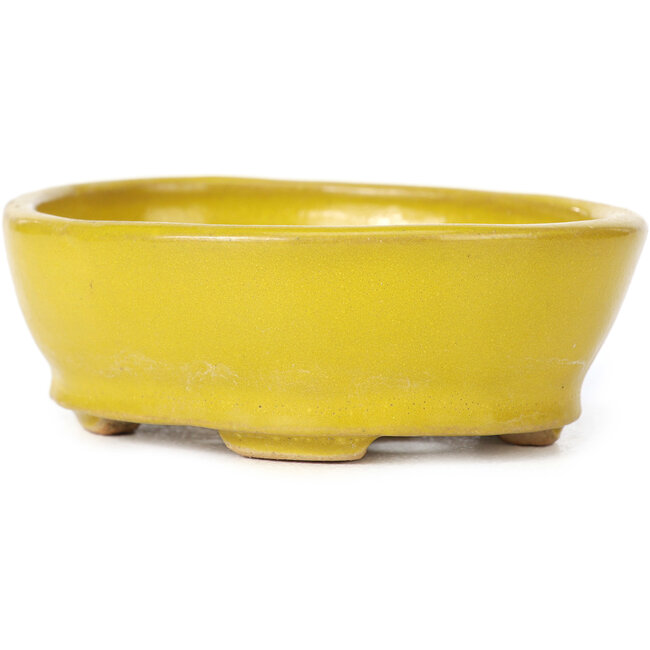 Maceta de bonsái amarilla ovalada de Seto - 100 x 85 x 35 mm