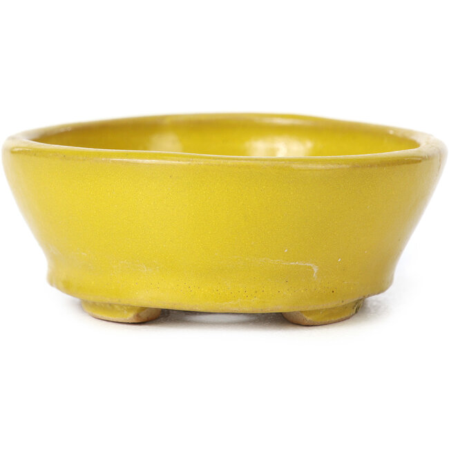 Vaso bonsai giallo ovale di Seto - 100 x 85 x 35 mm
