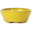 Pot à bonsaï ovale jaune par Seto - 100 x 85 x 35 mm