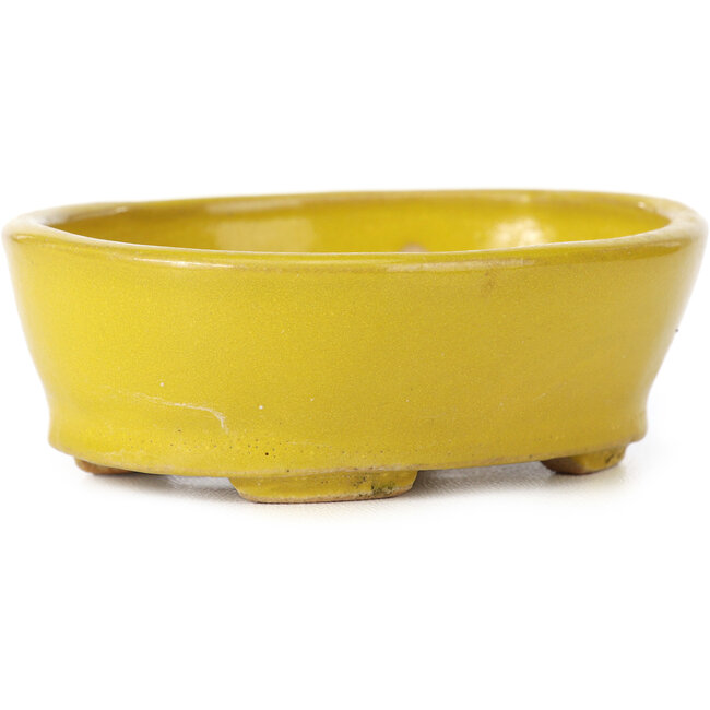 Oval yellow bonsai pot by Seto - 100 x 85 x 35 mm