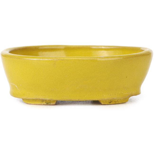 Pot à bonsaï ovale jaune par Seto - 100 x 85 x 35 mm
