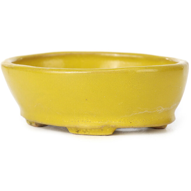 Oval yellow bonsai pot by Seto - 100 x 85 x 35 mm
