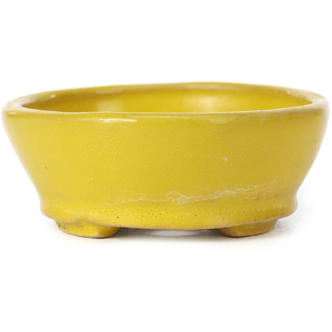 Pot à bonsaï ovale jaune par Seto - 100 x 85 x 35 mm