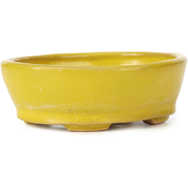 Vaso bonsai giallo ovale di Seto - 100 x 85 x 35 mm