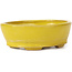 Pot à bonsaï ovale jaune par Seto - 100 x 85 x 35 mm