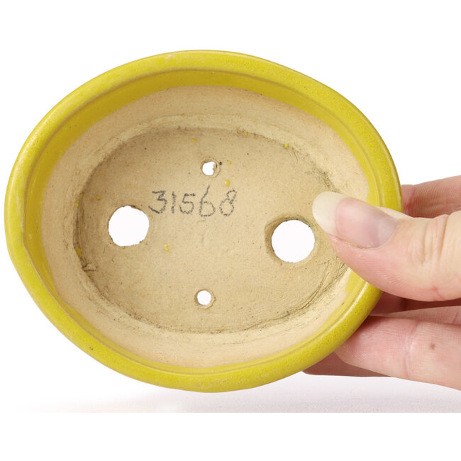 Maceta de bonsái amarilla ovalada de Seto - 100 x 85 x 35 mm