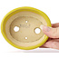 Pot à bonsaï ovale jaune par Seto - 100 x 85 x 35 mm