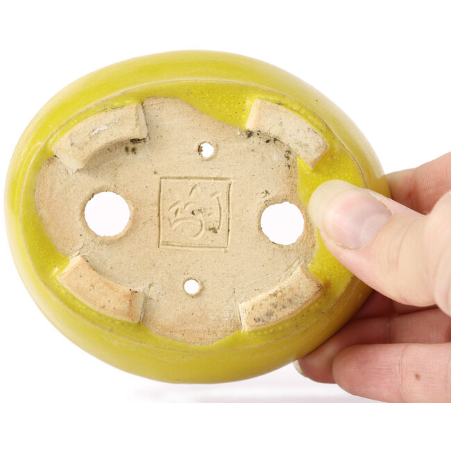 Pot à bonsaï ovale jaune par Seto - 100 x 85 x 35 mm