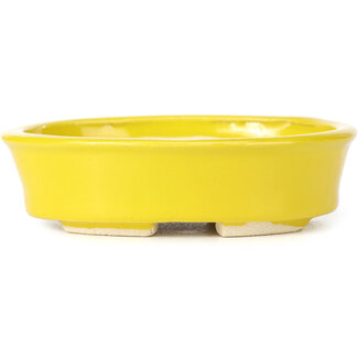 Seto 105 mm oval yellow bonsai pot by Seto, Japan