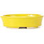 Pot à bonsaï ovale jaune par Seto - 105 x 90 x 30 mm