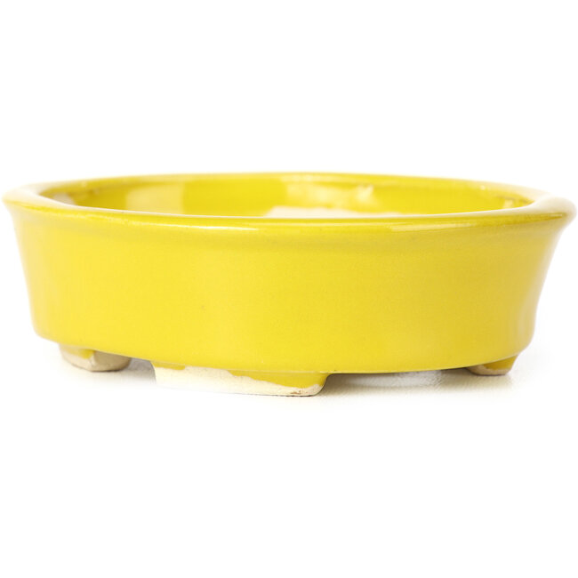 Maceta de bonsái amarilla ovalada de Seto - 105 x 90 x 30 mm