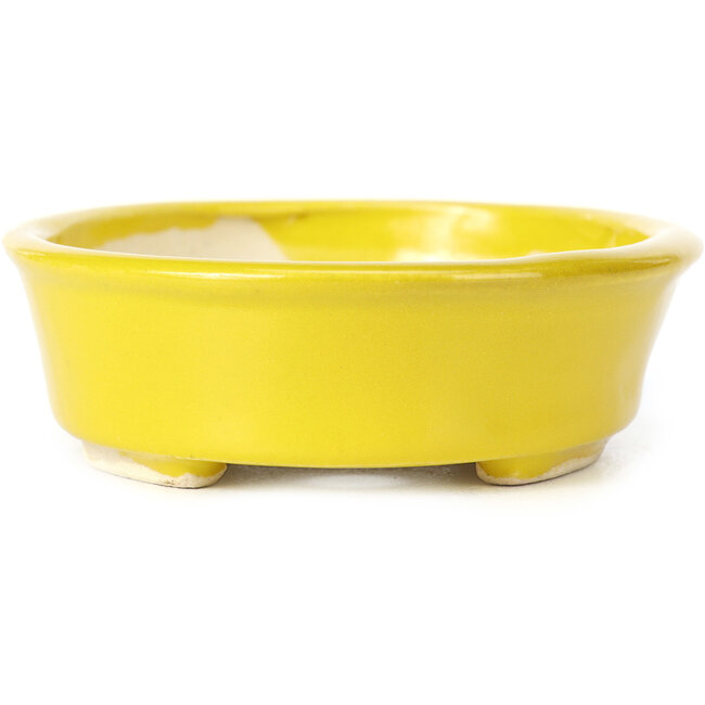 Vaso bonsai giallo ovale di Seto - 105 x 90 x 30 mm