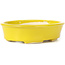 Pot à bonsaï ovale jaune par Seto - 105 x 90 x 30 mm