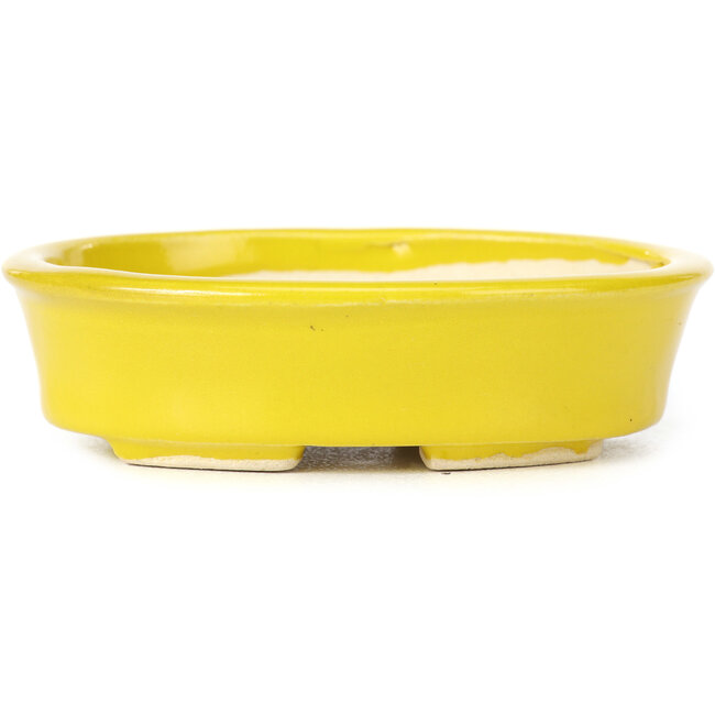 Pot à bonsaï ovale jaune par Seto - 105 x 90 x 30 mm