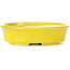 Vaso bonsai giallo ovale di Seto - 105 x 90 x 30 mm