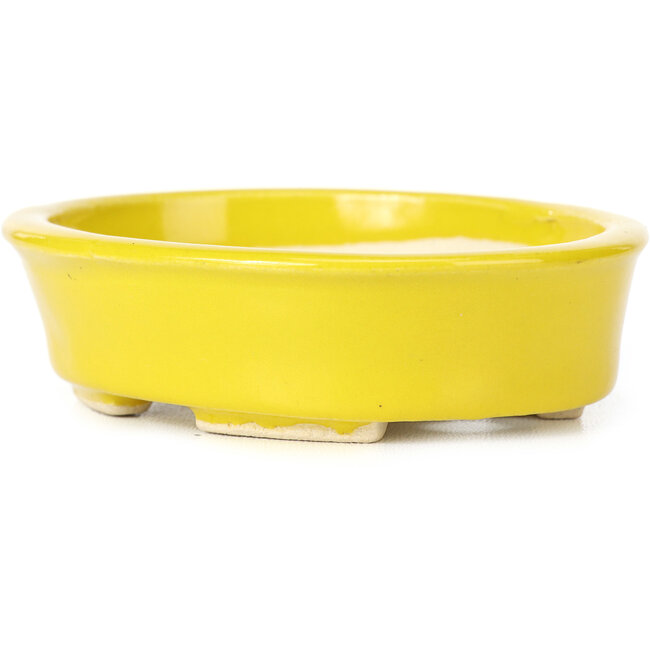 Oval yellow bonsai pot by Seto - 105 x 90 x 30 mm