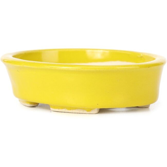 Vaso bonsai giallo ovale di Seto - 105 x 90 x 30 mm