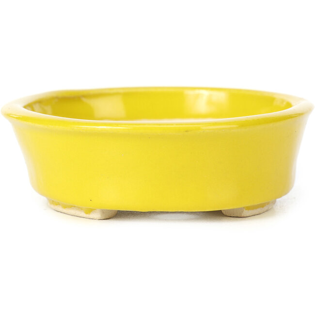 Oval yellow bonsai pot by Seto - 105 x 90 x 30 mm